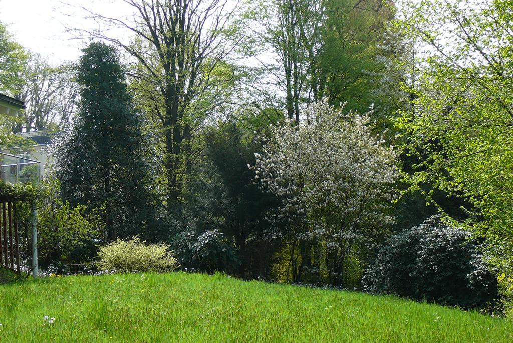Ferienwohnung Am Krippenhof Baden-Baden Bilik gambar